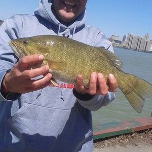 Meet your Posher, Richie